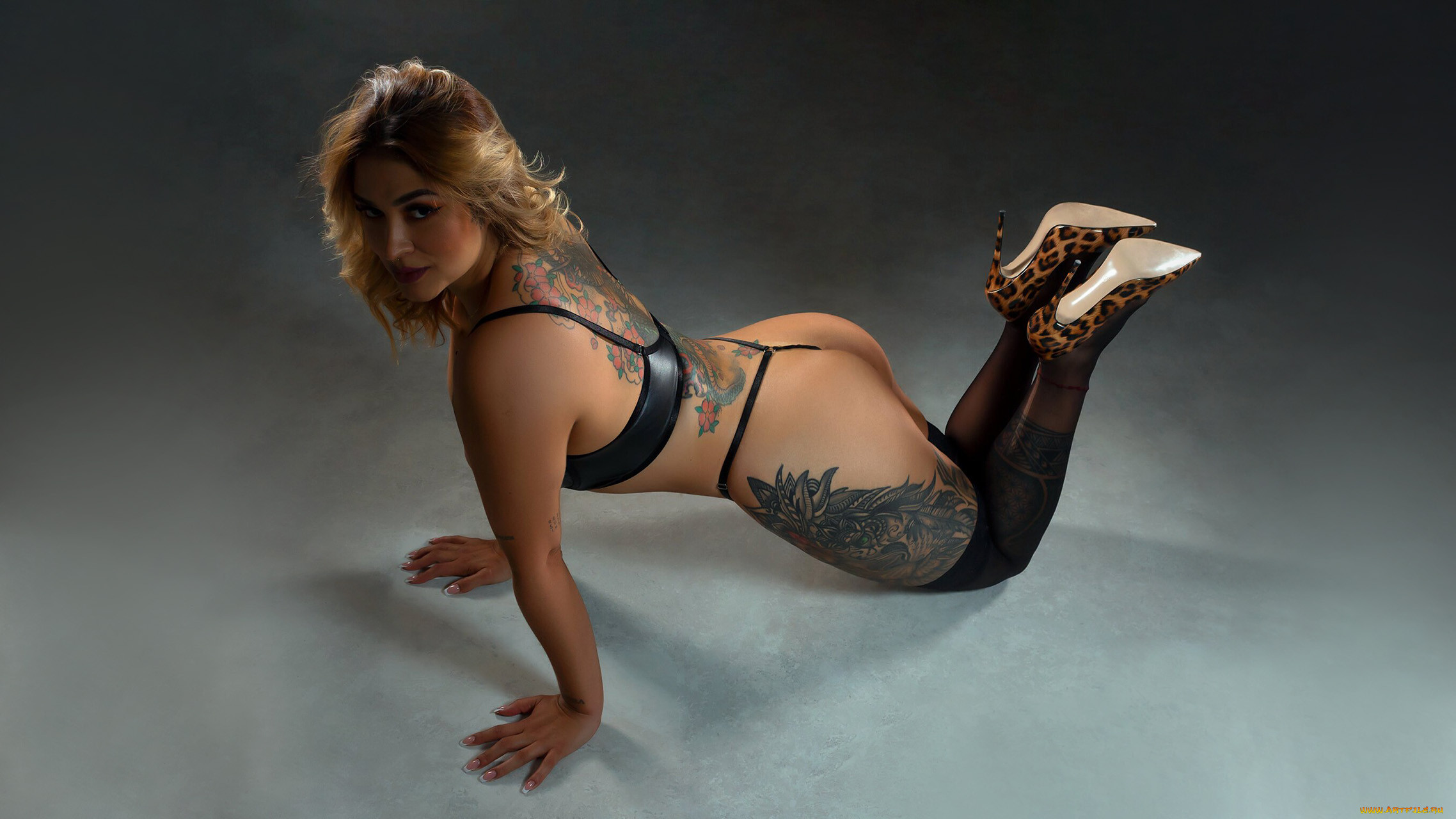 , cyntia adams, cyntia, adams